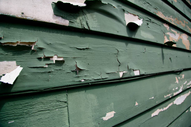 Reliable Plentywood, MT Junk Removal Solutions