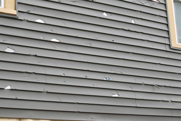 Best Hoarding Cleanup  in Plentywood, MT